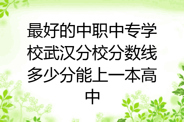 最好的中职中专学校武汉分校分数线多少分能上一本高中