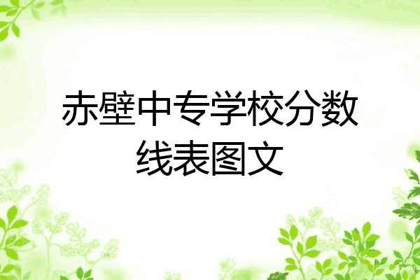 赤壁中专学校分数线表图文