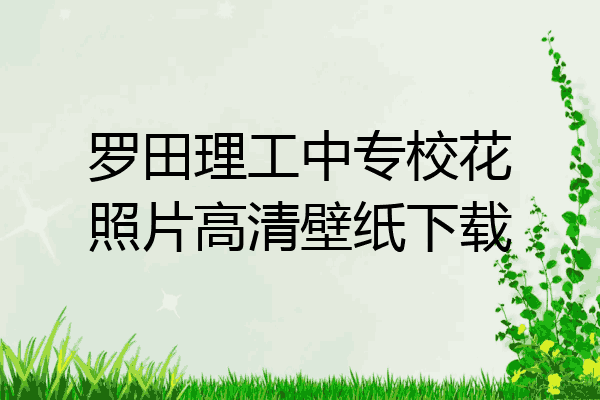 罗田理工中专校花照片高清壁纸下载