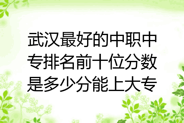 武汉最好的中职中专排名前十位分数是多少分能上大专