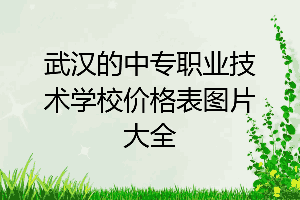 武汉的中专职业技术学校价格表图片大全