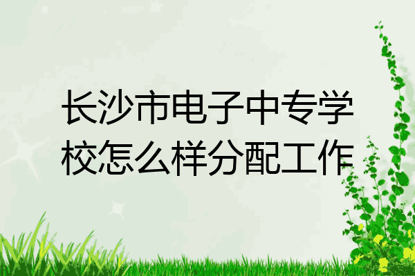 长沙市电子中专学校怎么样分配工作