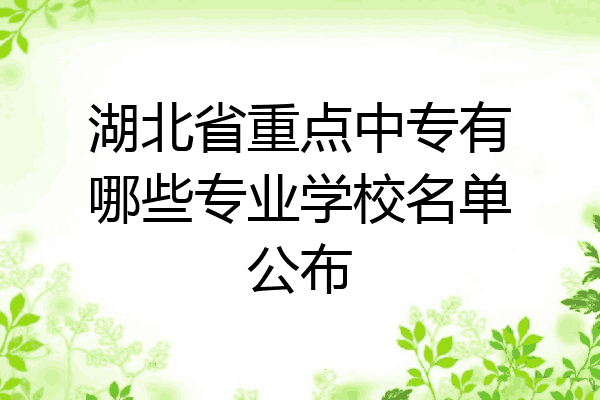 湖北省重点中专有哪些专业学校名单公布