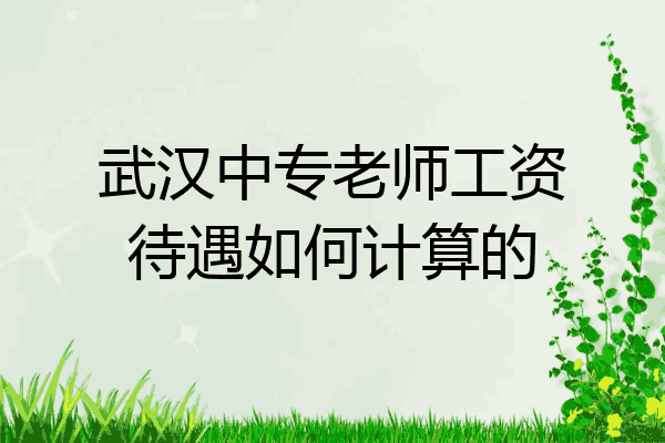 武汉中专老师工资待遇如何计算的