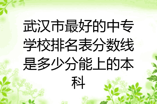 武汉市最好的中专学校排名表分数线是多少分能上的本科