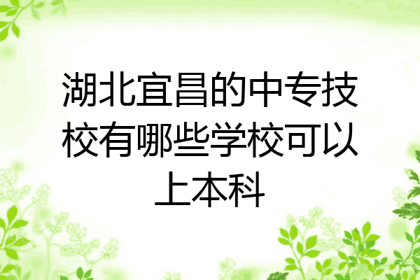 湖北宜昌的中专技校有哪些学校可以上本科