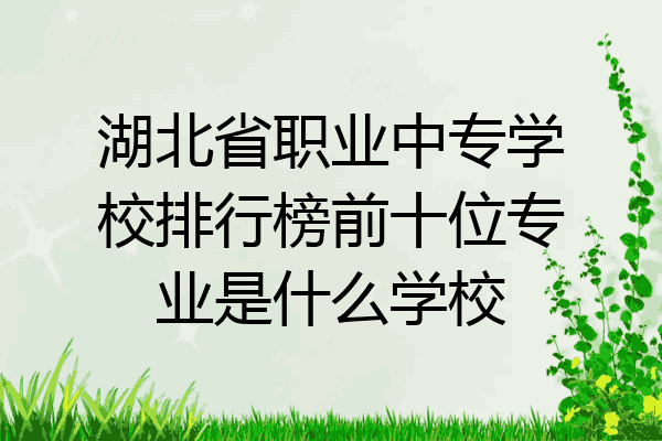 湖北省职业中专学校排行榜前十位专业是什么学校