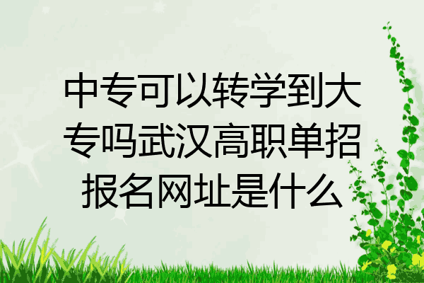 中专可以转学到大专吗武汉高职单招报名网址是什么