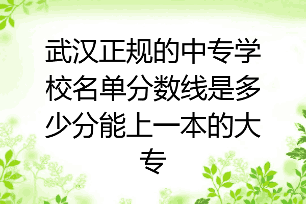 武汉正规的中专学校名单分数线是多少分能上一本的大专
