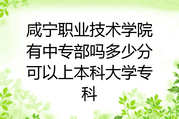 咸宁职业技术学院有中专部吗多少分可以上本科大学专科