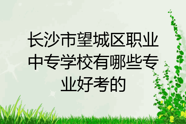 长沙市望城区职业中专学校有哪些专业好考的