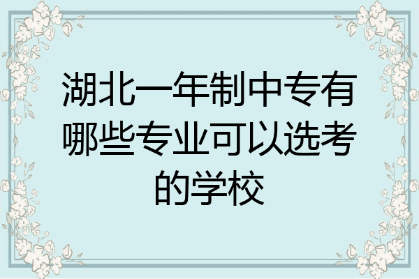 湖北一年制中专有哪些专业可以选考的学校