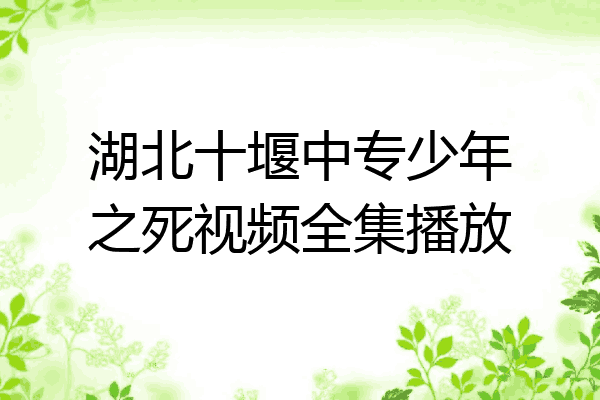 湖北十堰中专少年之死视频全集播放