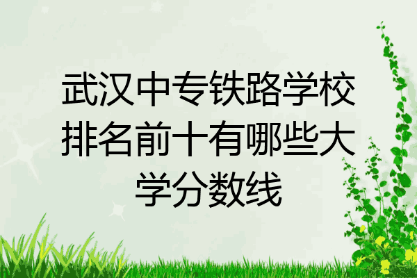 武汉中专铁路学校排名前十有哪些大学分数线