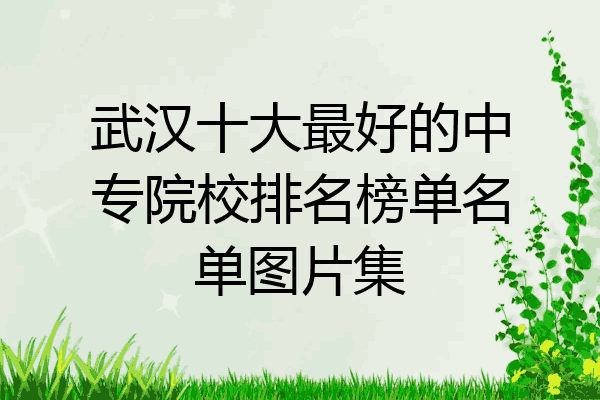 武汉十大最好的中专院校排名榜单名单图片集