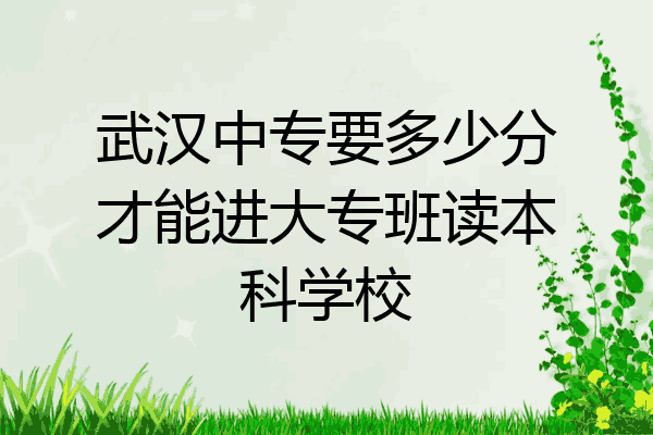 武汉中专要多少分才能进大专班读本科学校