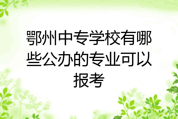 鄂州中专学校有哪些公办的专业可以报考