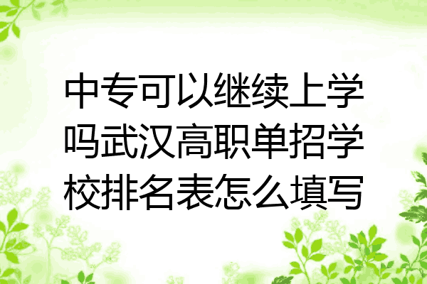 中专可以继续上学吗武汉高职单招学校排名表怎么填写