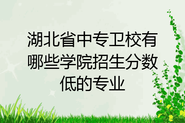 湖北省中专卫校有哪些学院招生分数低的专业