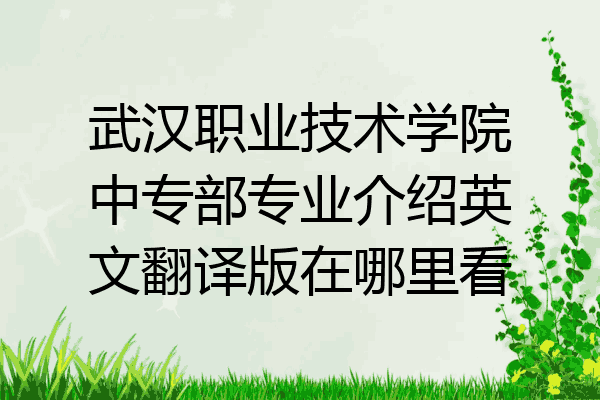 武汉职业技术学院中专部专业介绍英文翻译版在哪里看