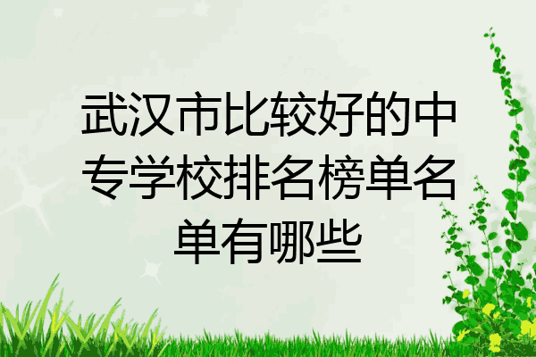武汉市比较好的中专学校排名榜单名单有哪些