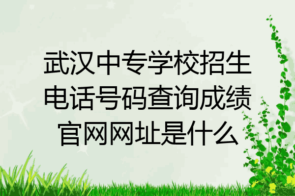 武汉中专学校招生电话号码查询成绩官网网址是什么