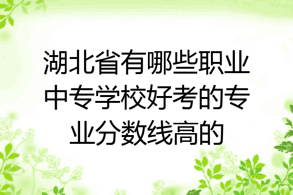 湖北省有哪些职业中专学校好考的专业分数线高的