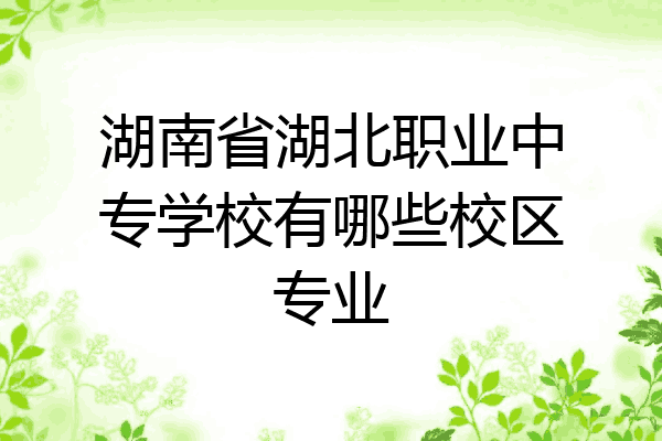 湖南省湖北职业中专学校有哪些校区专业