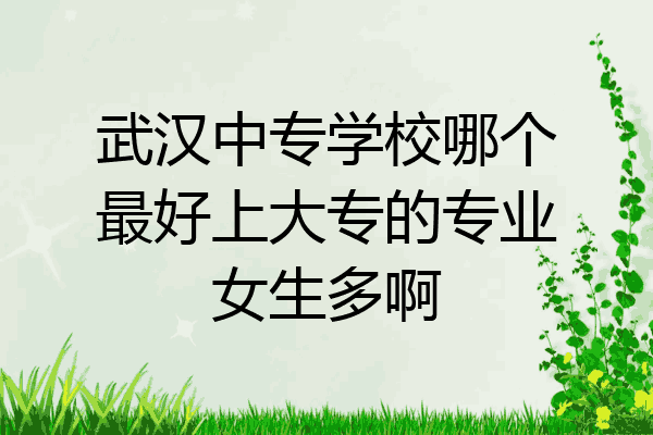 武汉中专学校哪个最好上大专的专业女生多啊