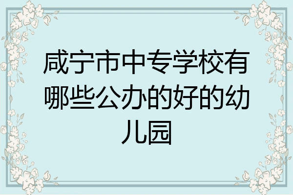 咸宁市中专学校有哪些公办的好的幼儿园