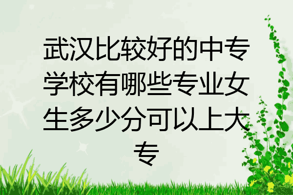 武汉比较好的中专学校有哪些专业女生多少分可以上大专