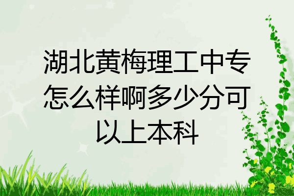 湖北黄梅理工中专怎么样啊多少分可以上本科