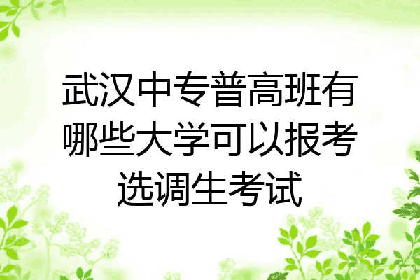 武汉中专普高班有哪些大学可以报考选调生考试