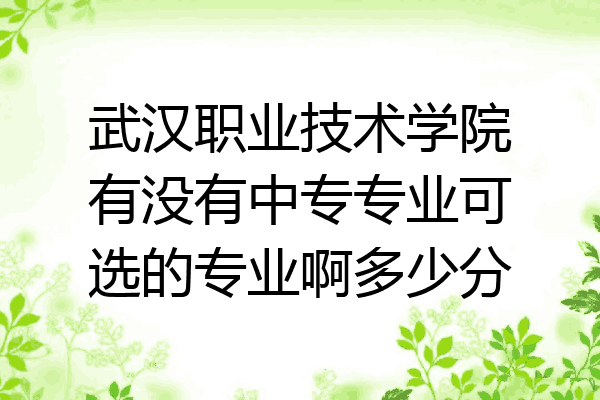 武汉职业技术学院有没有中专专业可选的专业啊多少分