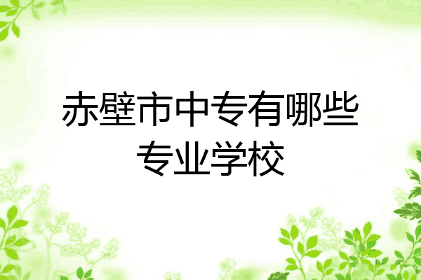 赤壁市中专有哪些专业学校