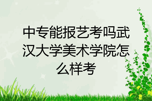 中专能报艺考吗武汉大学美术学院怎么样考