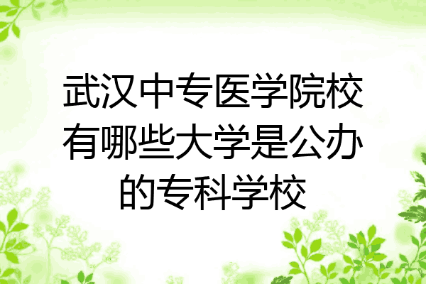 武汉中专医学院校有哪些大学是公办的专科学校