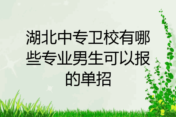 湖北中专卫校有哪些专业男生可以报的单招