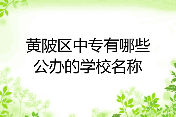 黄陂区中专有哪些公办的学校名称