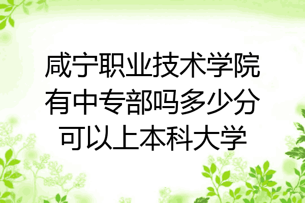 咸宁职业技术学院有中专部吗多少分可以上本科大学