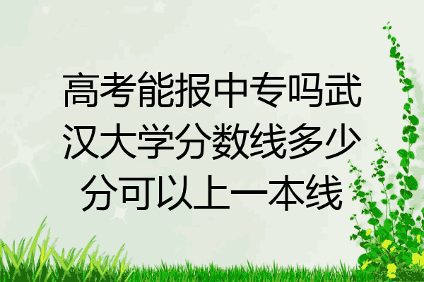 高考能报中专吗武汉大学分数线多少分可以上一本线