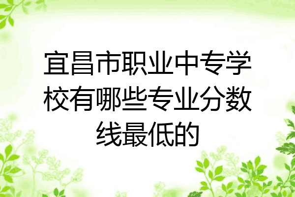 宜昌市职业中专学校有哪些专业分数线最低的