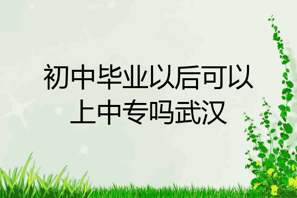 初中毕业以后可以上中专吗武汉