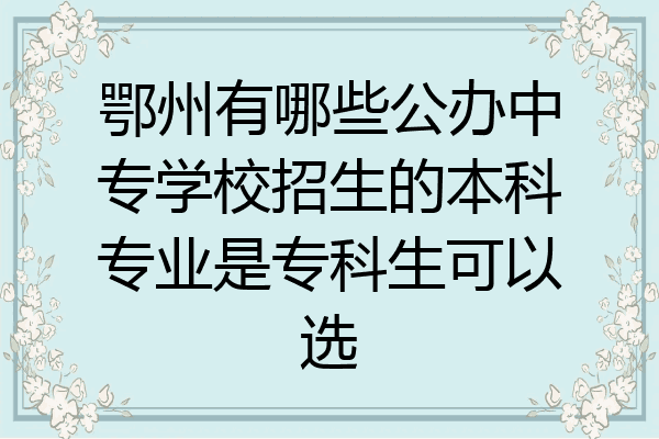 鄂州有哪些公办中专学校招生的本科专业是专科生可以选