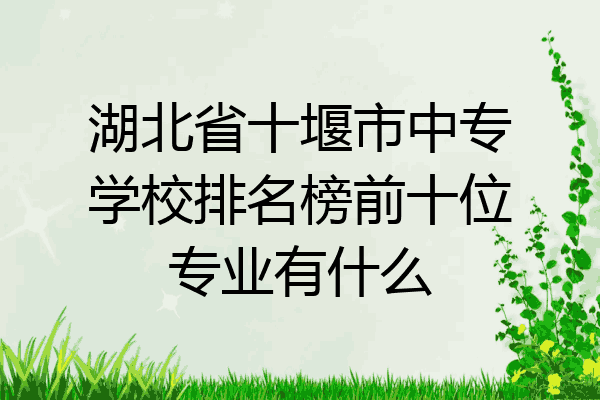 湖北省十堰市中专学校排名榜前十位专业有什么