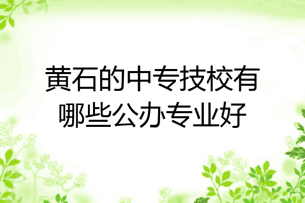 黄石的中专技校有哪些公办专业好