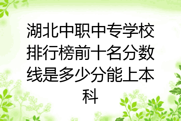 湖北中职中专学校排行榜前十名分数线是多少分能上本科