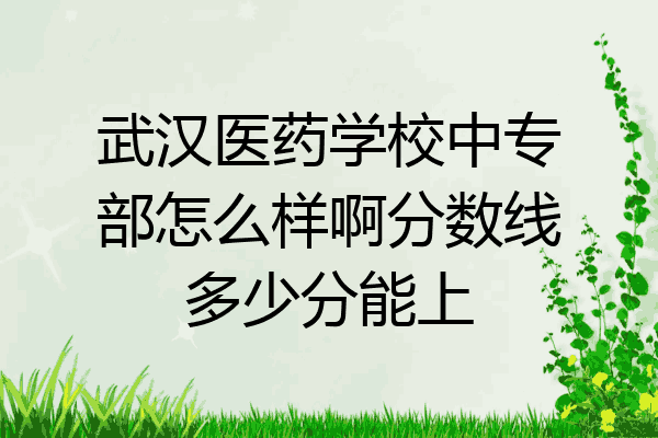 武汉医药学校中专部怎么样啊分数线多少分能上