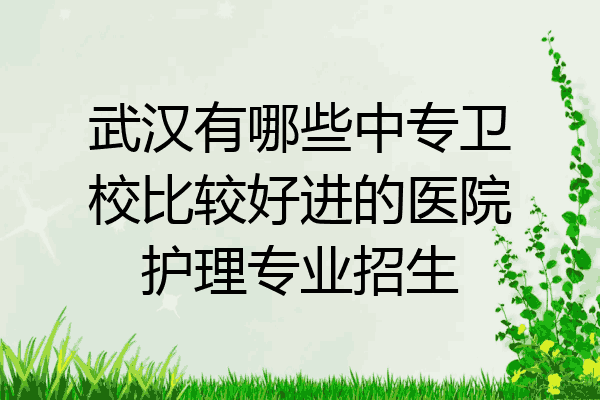 武汉有哪些中专卫校比较好进的医院护理专业招生