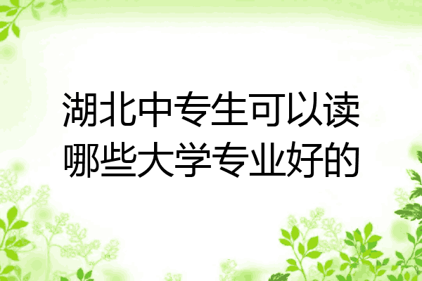 湖北中专生可以读哪些大学专业好的